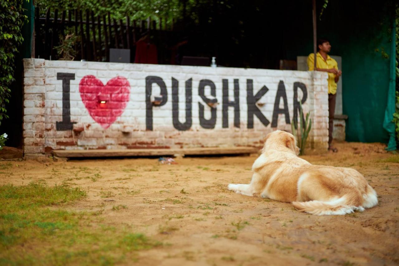 The Hosteller Pushkar Exterior foto